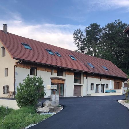 Apartmán T4 Meuble De 105M2 Axe Annecy-Geneve Saint-Martin-Bellevue Exteriér fotografie