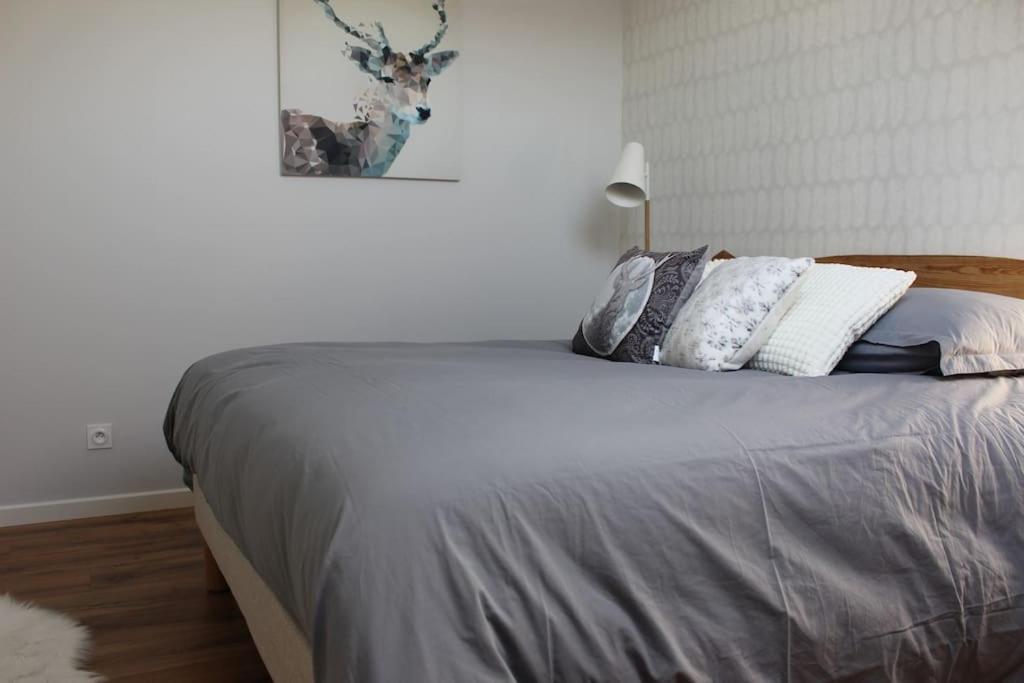 Apartmán T4 Meuble De 105M2 Axe Annecy-Geneve Saint-Martin-Bellevue Exteriér fotografie