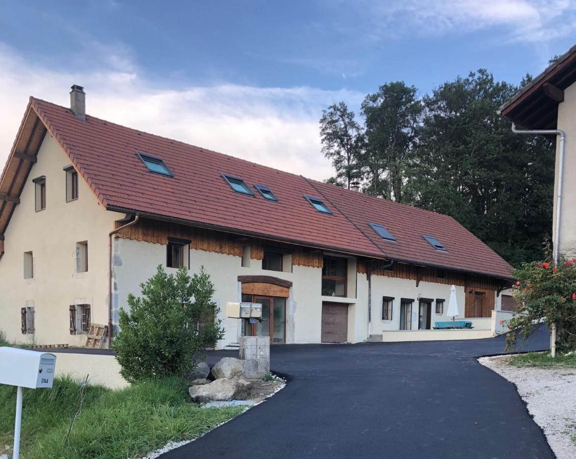Apartmán T4 Meuble De 105M2 Axe Annecy-Geneve Saint-Martin-Bellevue Exteriér fotografie